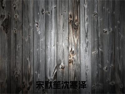 独家宋默笙沈寒泽小说(宋默笙沈寒泽)（宋默笙沈寒泽）电子书畅享阅读