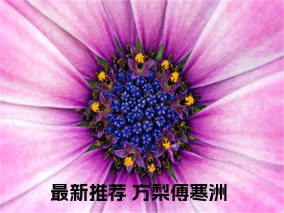方梨傅寒洲（那她遭受的一切又算什么）全文免费阅读_（那她遭受的一切又算什么）方梨傅寒洲最新章节小说免费阅读_笔趣阁