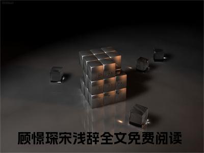 顾憬琛宋浅辞：结局+番外免费品鉴+全书阅读（再见即是诀别日）：结局+番外评价五颗星