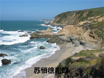 苏悄徐松朗小说全文(苏悄徐松朗)+免费下载阅读_ 苏悄徐松朗全文免费阅读最新章节列表