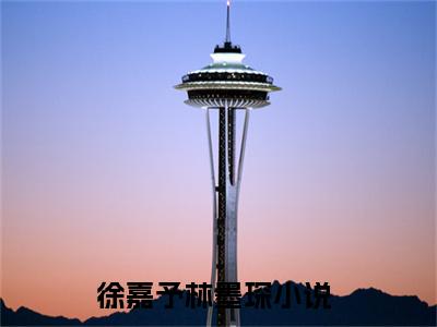徐嘉予林墨琛小说无删减阅读无干扰（徐嘉予林墨琛）番外+续集