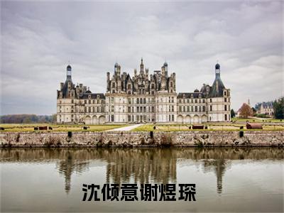 二次往生小说章节目录+章节前文（沈倾意谢煜琛）TXT清爽版在线