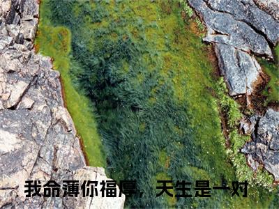 沈晚晚陆回：结局+番外（我命薄你福厚，天生是一对）小说免费更新在线阅读_沈晚晚陆回：结局+番外免费全文阅读笔趣阁（我命薄你福厚，天生是一对）