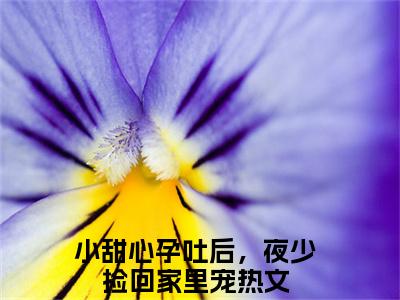 小甜心孕吐后，夜少捡回家里宠小说（云笙夜少霆）前文+全本完整阅读预售作品抢先看