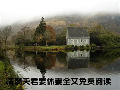 终章小说沈岁禾陆修尘(病弱夫君要休妻)：结局+番外评价五颗星