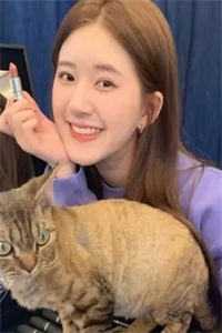 重生豪门主母不干了全文 完结版热文 陆云烟霍无双小说免费阅读