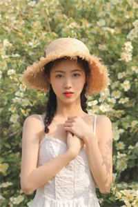 主角为 林风陈舒婷的小说叫什么官途无双