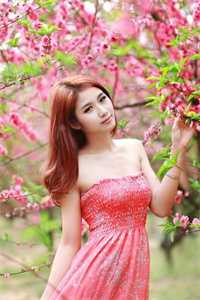 全章节叶妩顾郁北小说完整小说， 叶妩顾郁北免费读全文