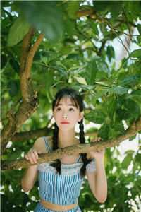  沈婉仪沈芙小说叫什么名字 抓住帝王心，我一夜翻身成宠妃抖音
