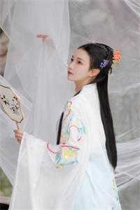 2023年爆款小说 大周杨安-诸天拍卖：开局召唤无敌护卫全本免费在线看