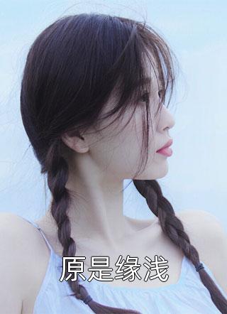 好书推荐小说沈时砚沈鹿溪  沈时砚沈鹿溪全文免费阅读