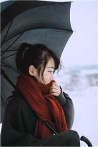 主角是 李逍朱凝云的小说-穿越后我成了朱棣的女婿完整章节阅读