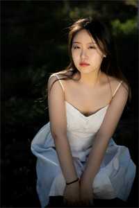 全章节妻子的高升路完整小说- 崔向东楼晓雅免费完结版