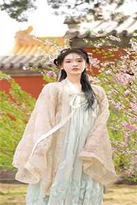 金牌小说推荐蓝河长宁  春桃淑妃免费阅读