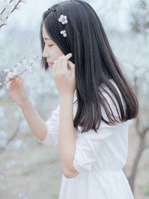 玄幻：我靠吃软饭修仙那些年正版小说全文  李素李素抖音热推