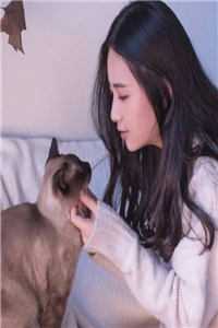 小说越搔越痒全文免费阅读无弹窗  倪霜姬翔美文欣赏