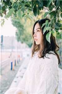  公孙云秦悦小说在线阅读 穿越：仙界第一炼丹师横行税务局全文免费
