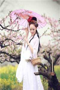 七零军婚：娇娇军医一哭，他疯魔了小说全文免费阅读  许诗霜陆星剑全章节