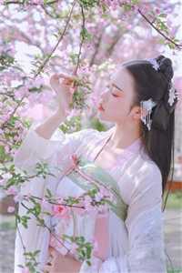 热门小说离婚后，我被小鲜肉们围满了， 周聿安林柠无弹窗阅读