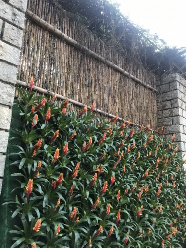 没有沧桑,我们不会以同理心去安慰不幸的