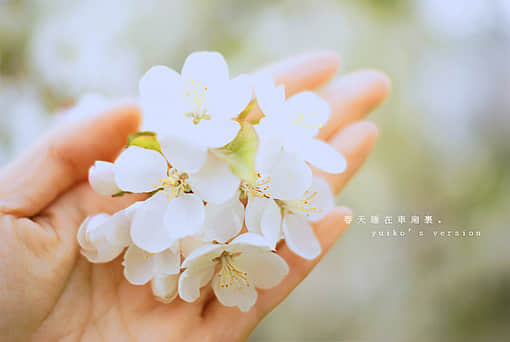 朋友圈说说配图,带图片的朋友圈微信说说短语