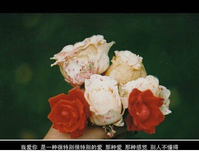 qq<a href=