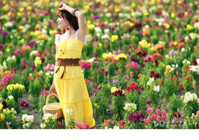 元宵节祝福语10字