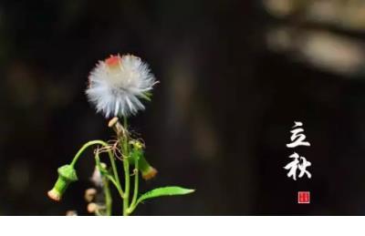 关于作业多的搞笑说说 作业多的说说搞笑说说