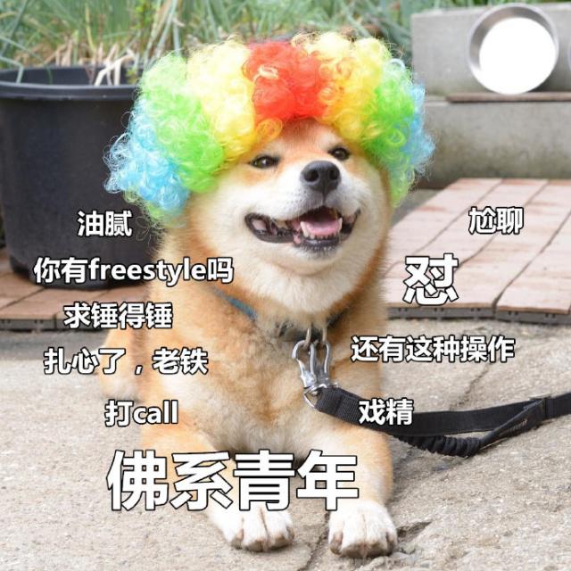 逗比专属的朋友圈文案 逗比沙雕文案合集
