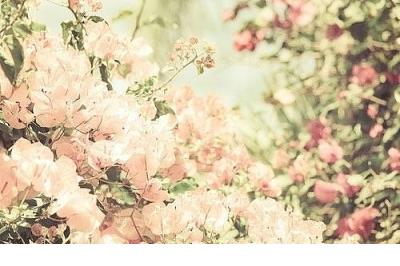 心灵孤独的说说 孤独的句子说说心情