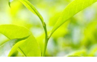 超伤感说说听了想哭的 分手完想哭的伤感说说