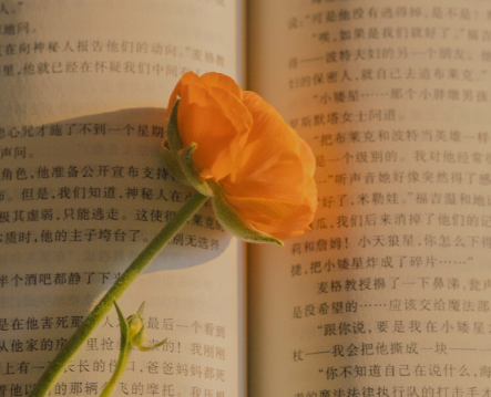 有哲理的心情短语 不要向这个世界认输
