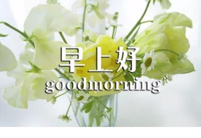 拟人句有哪些