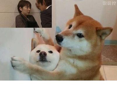 平凡的世界好词好句