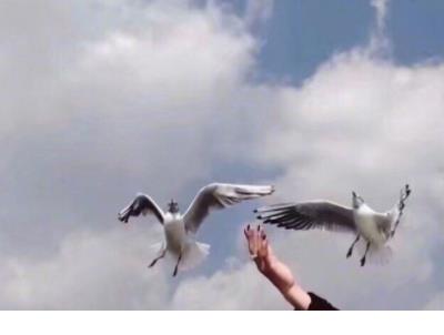 心情说说句子 开心一日游的心情说说