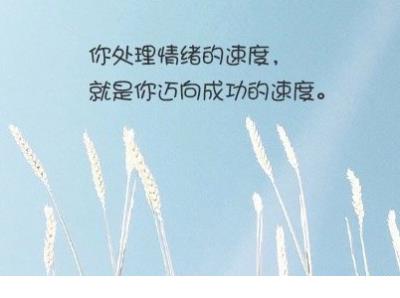 荷花像什么拟人句 荷花课文拟人句所有