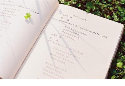 荷花像什么拟人句 荷花课文拟人句所有