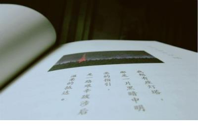 八字短语唯美霸气句子