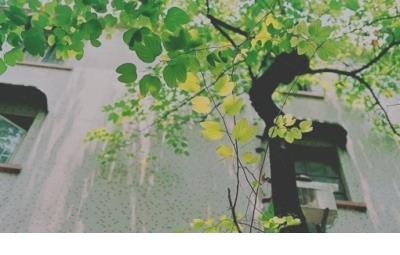 马云是什么时候成功的