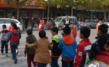小学生营养餐实施方案