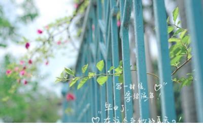忧郁伤感说说 伤感说说配图伤心