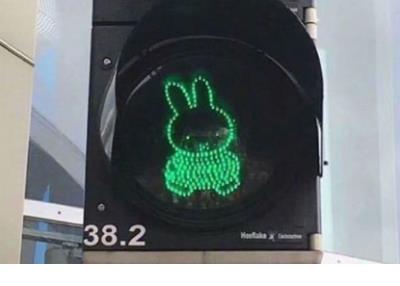 写给20岁的自己语录