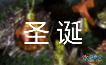 关于圣诞节的作文（精选10篇）