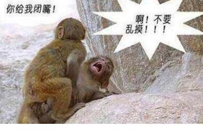 国富论经典语录100句