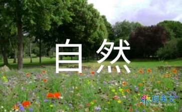 感悟自然作文（精选11篇）