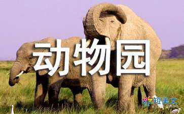 小小动物园作文400字（精选20篇）