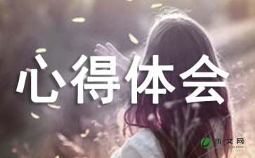 打造高绩效团队的心得体会（通用6篇）