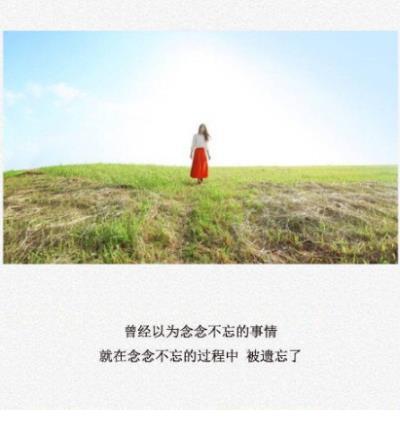从此以后不再 从此以后我的世界不再冰冷