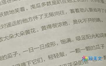 语文教学心得体会4篇