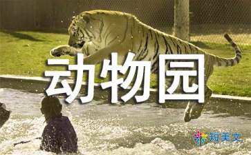 小小动物园四年级作文400字（精选10篇）